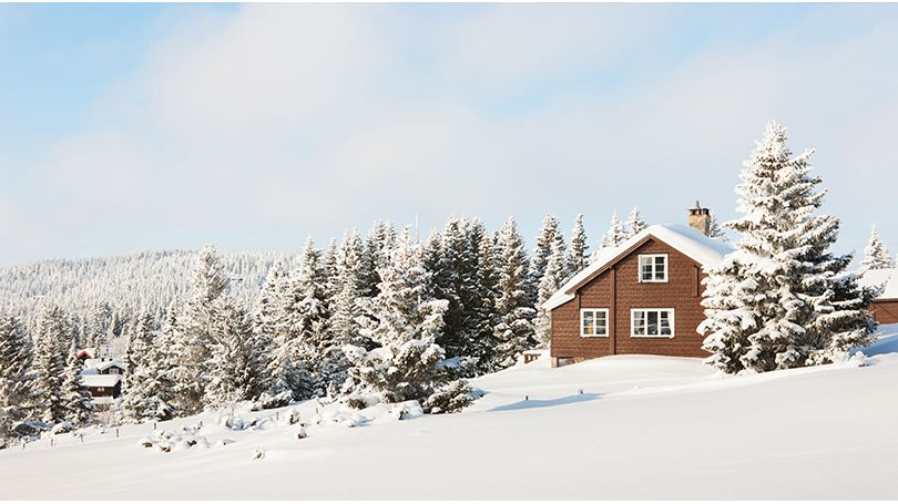 A winter home in the forest that is covered in snow