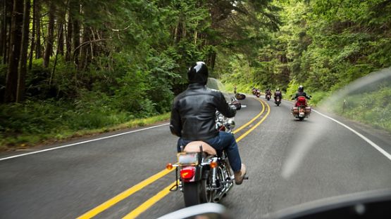 A group of motorcycle enthusiasts riding together on a winding forest road. 