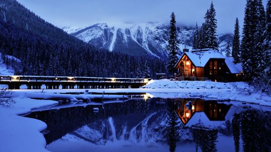 A road leading to a beautifully lit cabin at night.