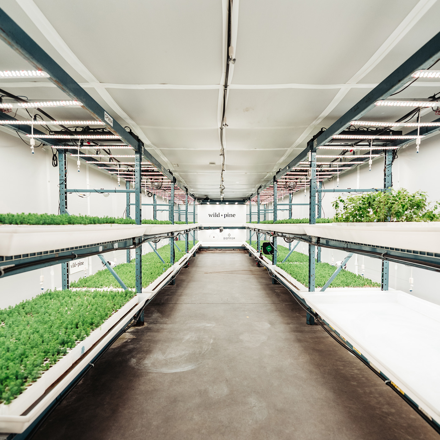 Wild + Pine’s Bioprism Advanced Vertical Greenhouse