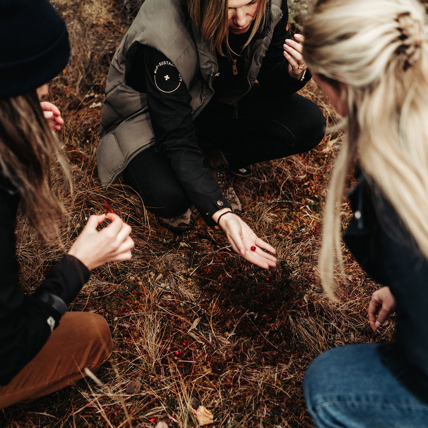 Wild + Pine staff members working on-site 