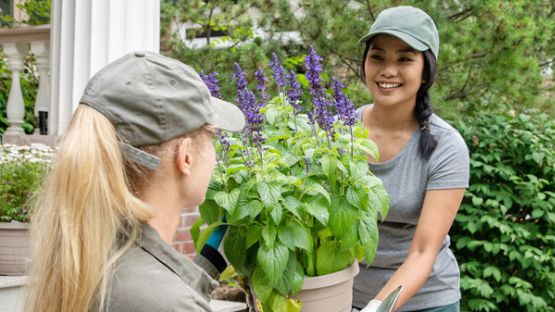 Two female arborists carrying a potted plant