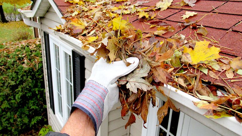 Tending Your Home This Fall